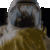 アリス